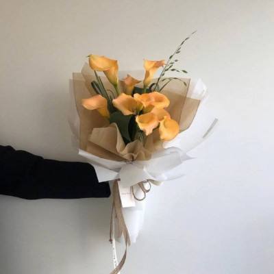 仙尘online手游小米版下载