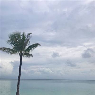 风云绝世内购破解版下载